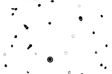 Basit siyah beyaz desenli desen, soyut arkaplan, kopyalama alanı