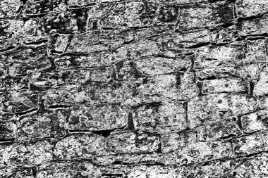 Soyut arkaplan. monokrom dokusu. resim siyah ve beyaz tonları içerir.