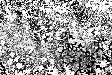 Soyut grunge arkaplanı. Monokrom dokusu. Siyah ve beyaz desenli arkaplan