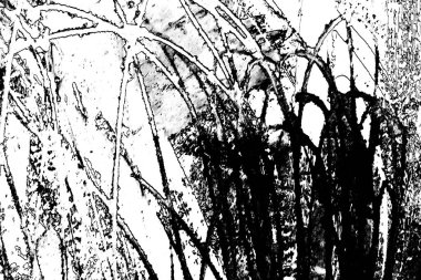 Soyut grunge arkaplanı. Monokrom dokusu. Siyah ve beyaz desenli arkaplan