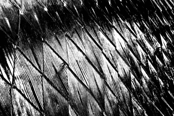 Fondo Grunge Abstracto Blanco Negro Textura Monocromática — Foto de Stock