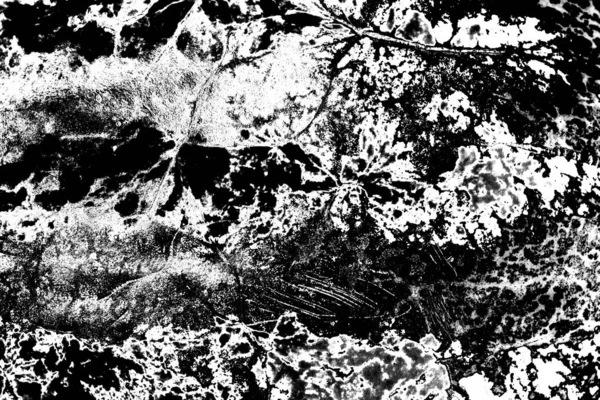 Fondo Grunge Abstracto Textura Monocromática Fondo Texturizado Blanco Negro — Foto de Stock