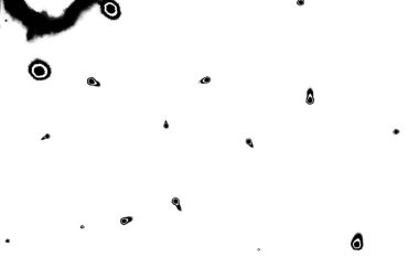 Basit siyah beyaz desenli desen, soyut arkaplan, kopyalama alanı