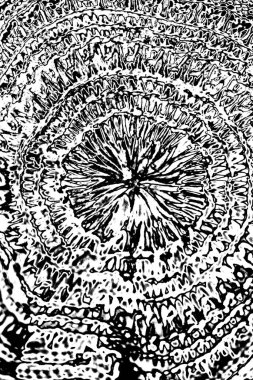 Soyut grunge arkaplanı. Monokrom dokusu. Siyah ve beyaz desenli arkaplan