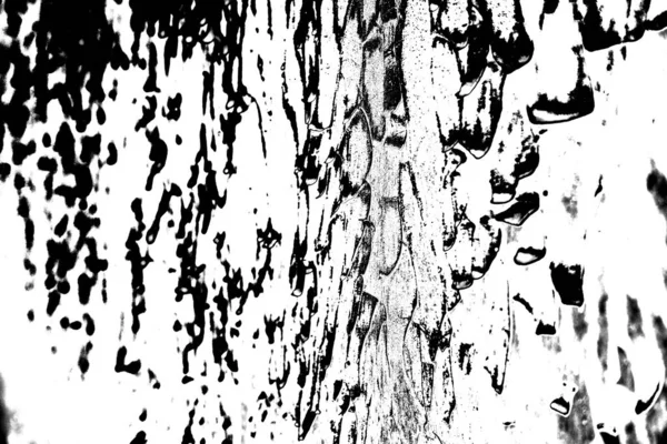 ขาวด นหล งนามธรรม าเนา — ภาพถ่ายสต็อก