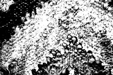 Klasik siyah beyaz desenli desen, soyut arkaplan, kopyalama alanı