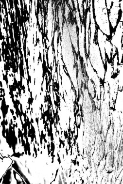 Siyah beyaz desenli, soyut arkaplan, kopyalama alanı