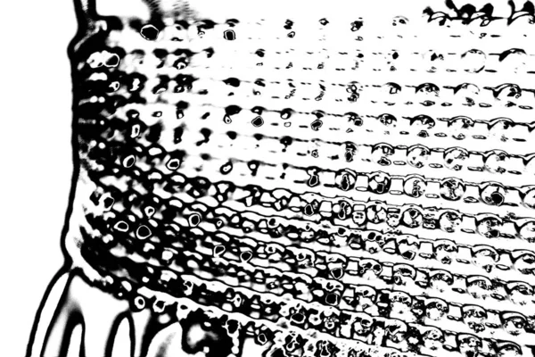 Patrón Texturizado Blanco Negro Simple Fondo Abstracto Espacio Copia —  Fotos de Stock