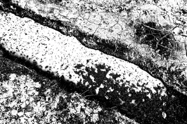 Fond Grunge Abstrait Fond Texturé Noir Blanc — Photo