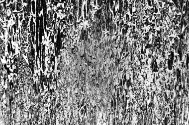 Soyut grunge arkaplanı. Monokrom dokusu. Siyah ve beyaz desenli arkaplan