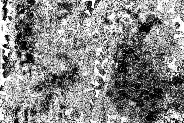 Basit siyah beyaz desenli desen, soyut arkaplan, kopyalama alanı