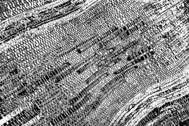 Soyut grunge arkaplanı. Monokrom dokusu. Siyah ve beyaz desenli arkaplan