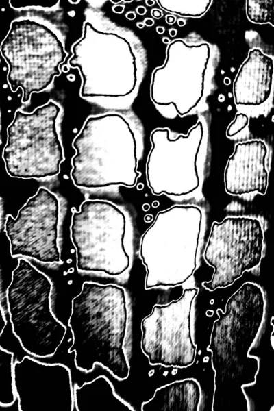 Fondo Grunge Abstracto Blanco Negro Textura Monocromática — Foto de Stock