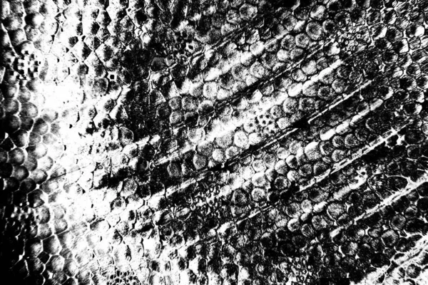 Abstracte Grunge Achtergrond Monochrome Textuur Zwart Wit Textuur Achtergrond — Stockfoto