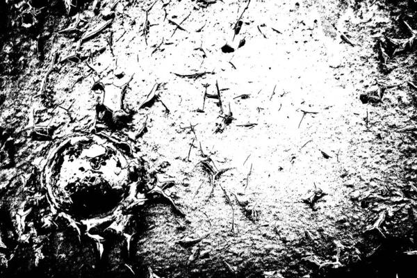 Fondo Grunge Abstracto Blanco Negro Textura Monocromática — Foto de Stock