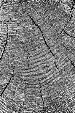 Soyut grunge arkaplanı. Monokrom dokusu. Siyah ve beyaz desenli arkaplan