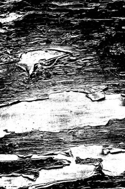 Soyut grunge arkaplanı. Monokrom dokusu. Siyah ve beyaz desenli arkaplan