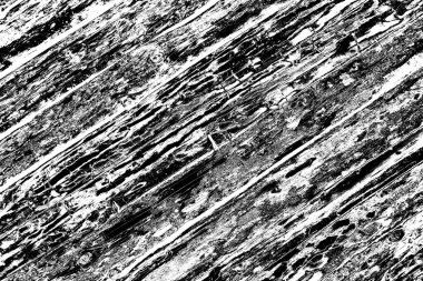 Soyut siyah-beyaz grunge arka planı. monokrom dokusu. 