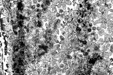 Basit siyah beyaz desenli desen, soyut arkaplan, kopyalama alanı