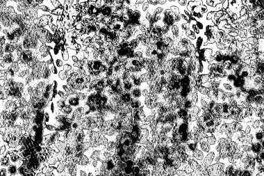 Basit siyah beyaz desenli desen, soyut arkaplan, kopyalama alanı