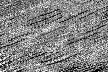 Soyut grunge arkaplanı. Monokrom dokusu. Siyah ve beyaz desenli arkaplan