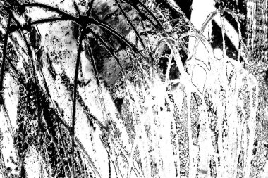 Basit siyah beyaz desenli desen, soyut arkaplan, kopyalama alanı