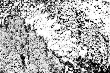 Soyut grunge arkaplanı. Monokrom dokusu. Siyah ve beyaz desenli arkaplan