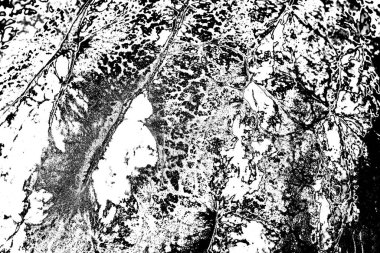 Soyut grunge arkaplanı. Monokrom dokusu. Siyah ve beyaz desenli arkaplan