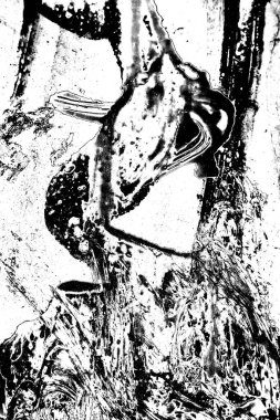 Soyut grunge arkaplanı. Monokrom dokusu. Siyah ve beyaz desenli arkaplan