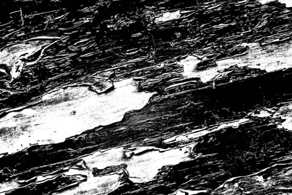 Fundo Grunge Abstrato Textura Monocromática Preto Branco Texturizado Fundo — Fotografia de Stock