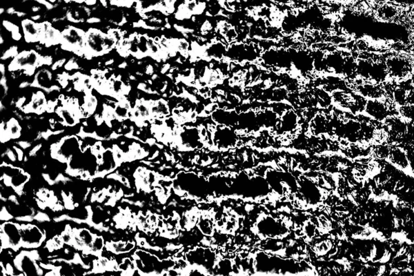 Fondo Grunge Abstracto Blanco Negro Textura Monocromática —  Fotos de Stock