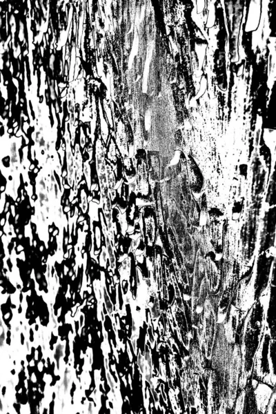 Fondo Grunge Abstracto Textura Monocromática Fondo Texturizado Blanco Negro — Foto de Stock