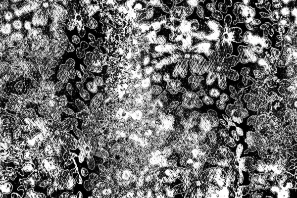 Résumé Fond Grunge Texture Monochrome Fond Texturé Noir Blanc — Photo