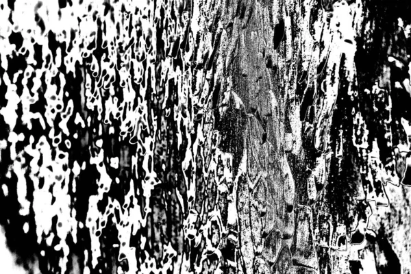 Abstract Grunge Background Monochrome Texture Black White Textured Background — Stock Photo, Image