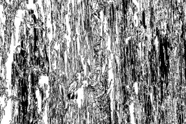 Soyut arkaplan. Monokrom dokusu. Siyah ve beyaz tonlar.