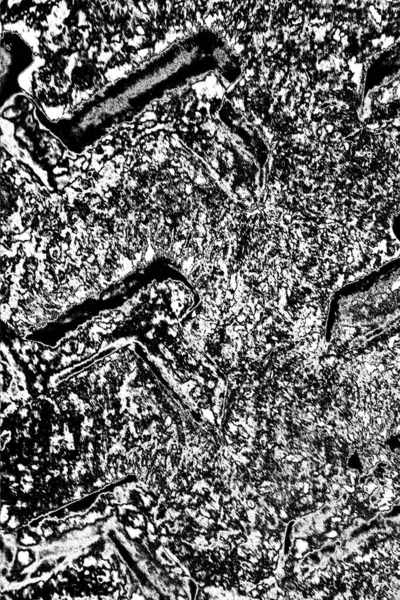 Абстрактный Фон Монохромная Текстура Черно Белые Тона — стоковое фото