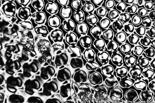 Contexte Abstrait Texture Monochrome Tons Noir Blanc — Photo