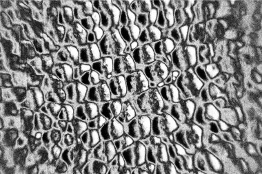 Soyut arkaplan. Monokrom dokusu. Siyah ve beyaz tonlar.