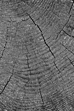 Soyut arkaplan. Monokrom dokusu. Siyah ve beyaz tonlar.