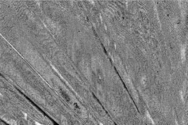 Soyut grunge arkaplanı. Monokrom dokusu. Siyah ve beyaz desenli arkaplan