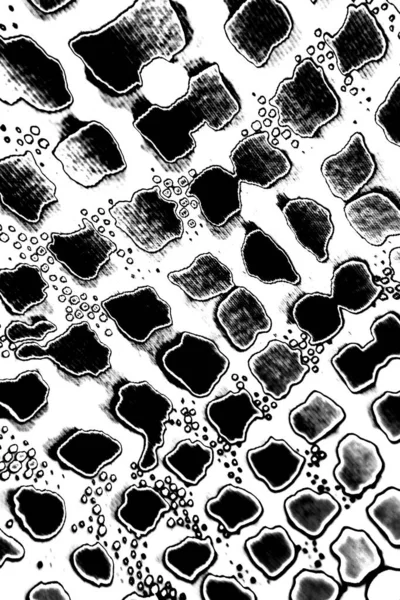 Abstrakti Tausta Yksivärinen Rakenne Mustavalkoiset Sävyt — kuvapankkivalokuva