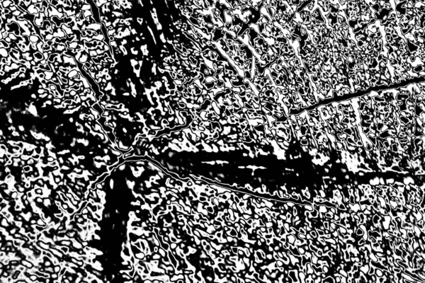 抽象的な背景 モノクロームの質感 黒と白のトーン — ストック写真