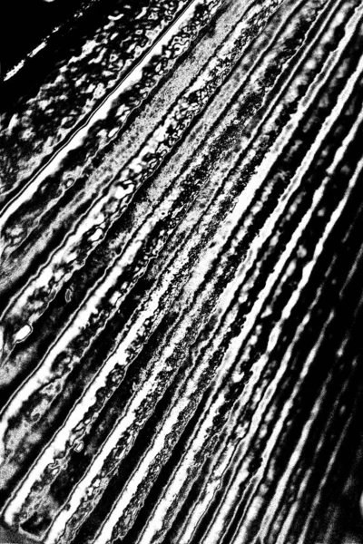 Abstract Background Monochrome Texture Black White Tones — Stock Photo, Image