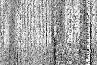 Soyut grunge arkaplanı. Monokrom dokusu. Siyah ve beyaz desenli arkaplan