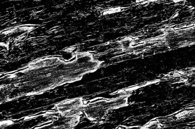 Soyut arkaplan. Monokrom dokusu. Siyah ve beyaz tonlar.