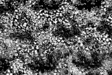 Soyut grunge arkaplanı. Monokrom dokusu. Siyah ve beyaz desenli arkaplan