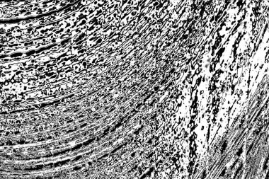 Soyut grunge arkaplanı. Monokrom dokusu. Siyah ve beyaz desenli arkaplan