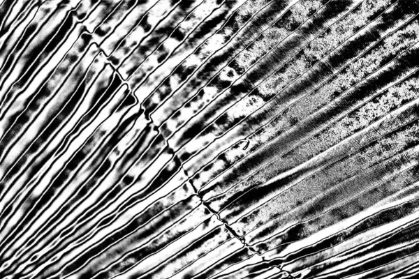 Abstract Background Monochrome Texture Image Including Effect Black White Tones — Stock Photo, Image