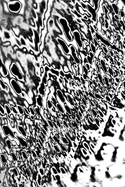 Abstract Background Monochrome Texture Image Including Effect Black White Tones — Stock Photo, Image