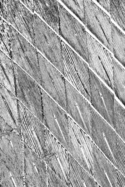 Résumé Fond Grunge Texture Monochrome Fond Texturé Noir Blanc — Photo